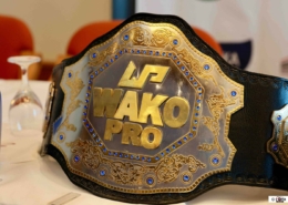 Der WAKO PRO Gürtel