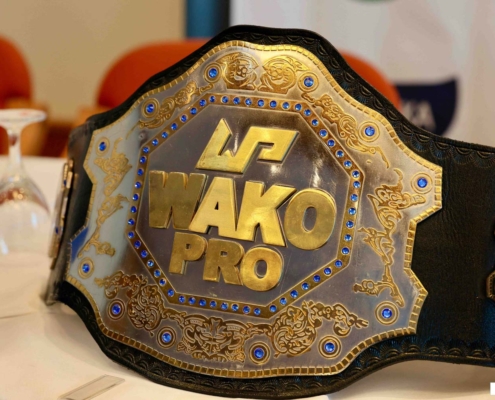 Der WAKO PRO Gürtel